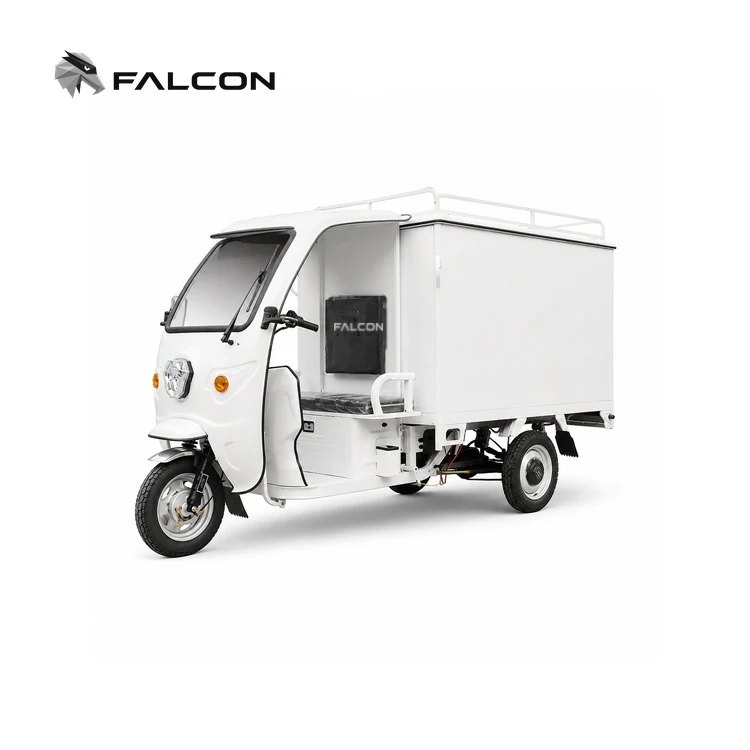 Enclosed Electric Delivery Tricycle – ECV-002
