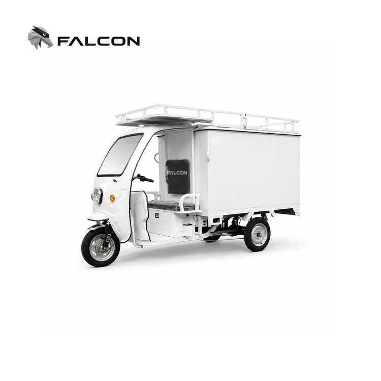 Roof-Rack Enclosed Electric Delivery Tricycle – ECV-003