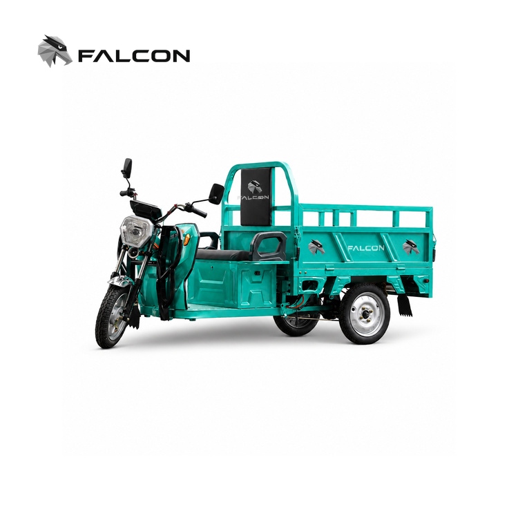 Open Cargo Electric Tricycle – CT-034