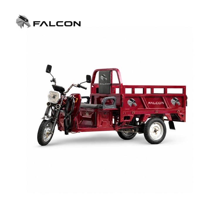 Open Cargo Electric Tricycle – CT-035