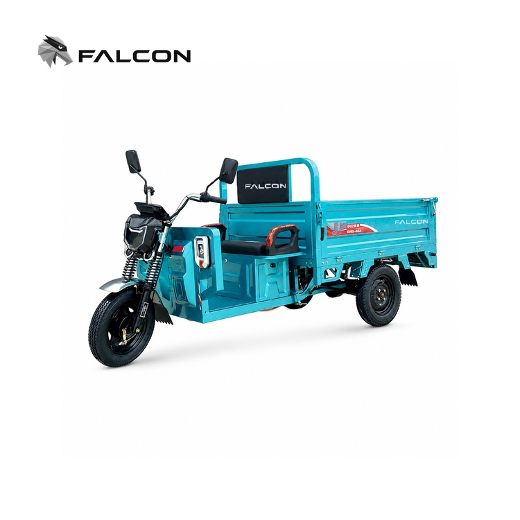 Open Cargo Electric Tricycle – CT-039