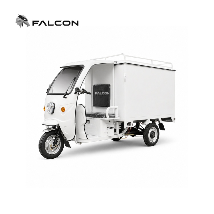 Enclosed Electric Delivery Tricycle – ECV-002