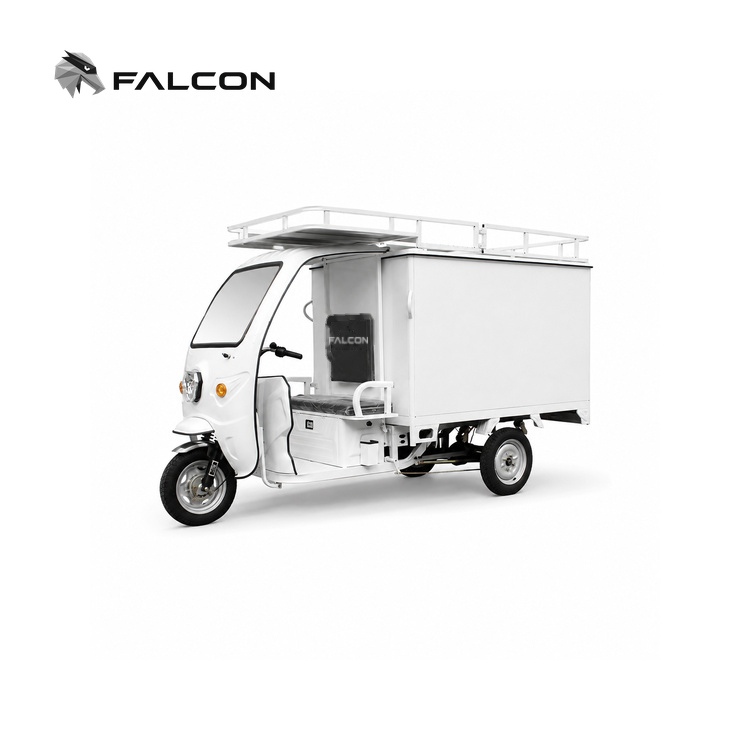 Roof-Rack Enclosed Electric Delivery Tricycle – ECV-003