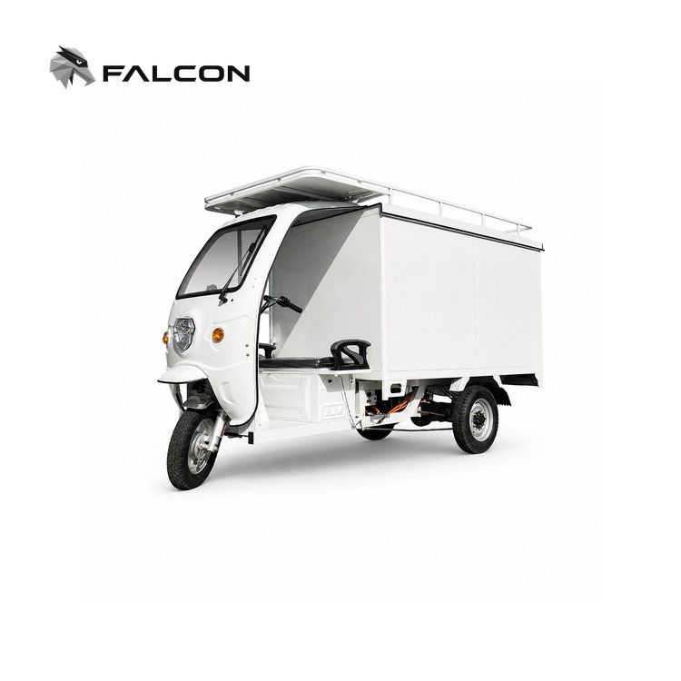 Enclosed Cargo Vehicles