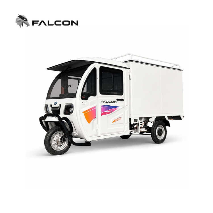 Full-Cab Enclosed Electric Delivery Tricycle – ECV-005