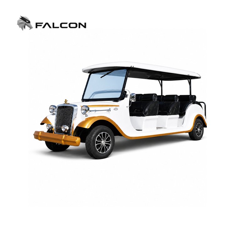 Sightseeing Shuttle Vehicles