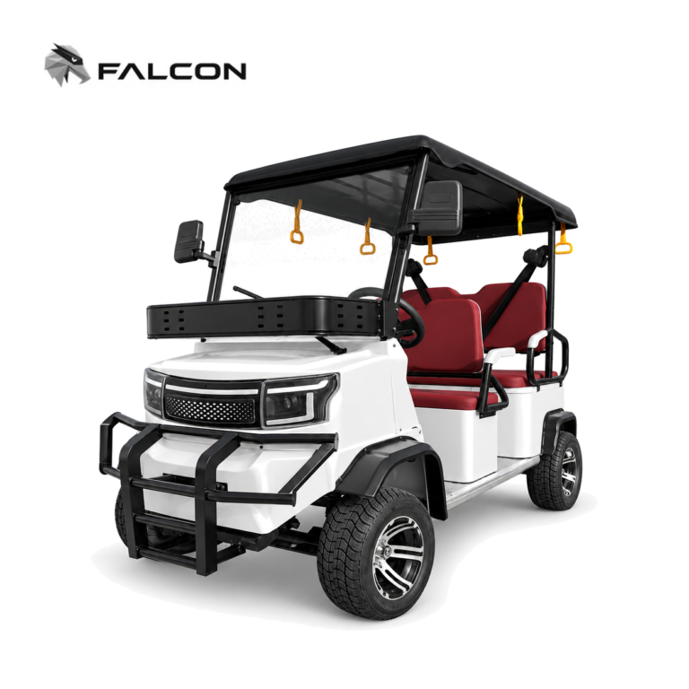 Electric Golf Cart GG-DP003