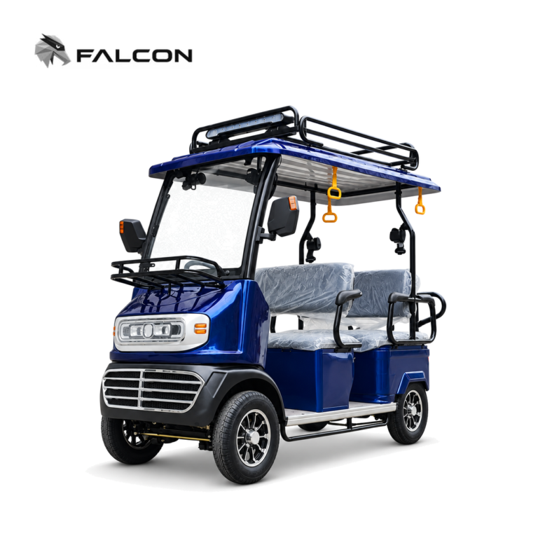 Leisure Electric Passenger Tricycle GG-DP005