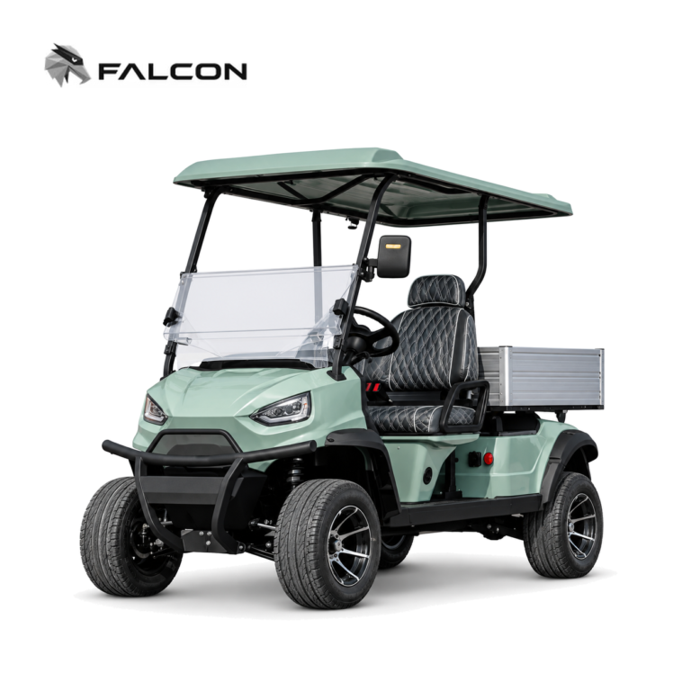 Electric Golf Cart N4