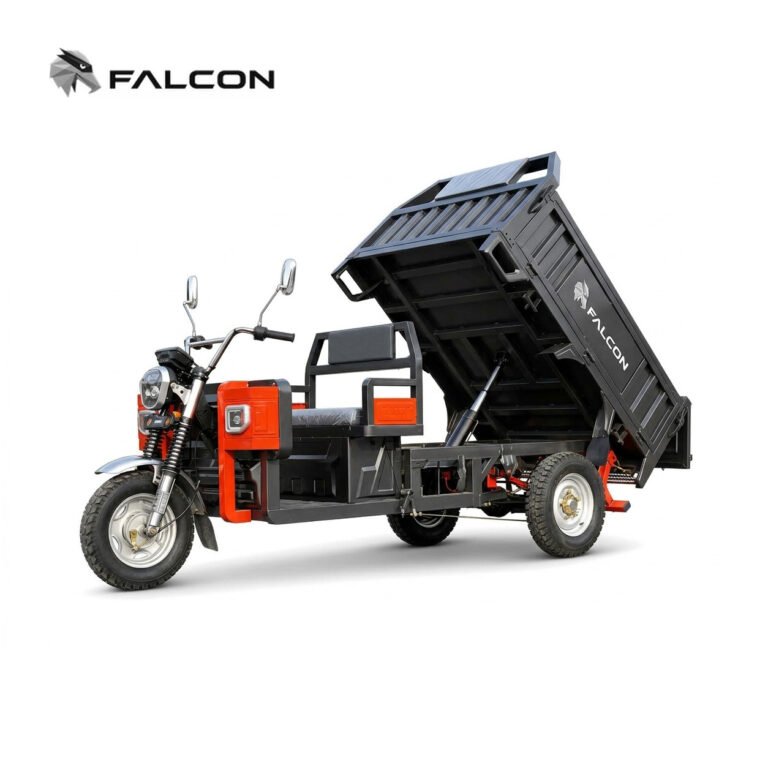 Leisure Electric Passenger Tricycle ZH-CP008