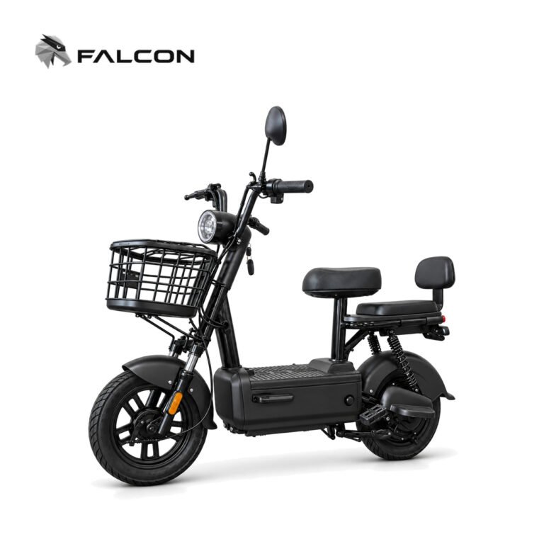 Electric Motorcycle ZR-CP004